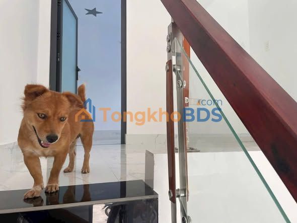 Nhà cho thuê Đường 3 Củ Chi 42m² 2.7 triệu - Sẵn sàng ở ngay