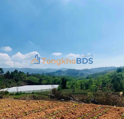 Đất nền D'Ran Đơn Dương 2.880m² 3 tỷ - Đường ôtô