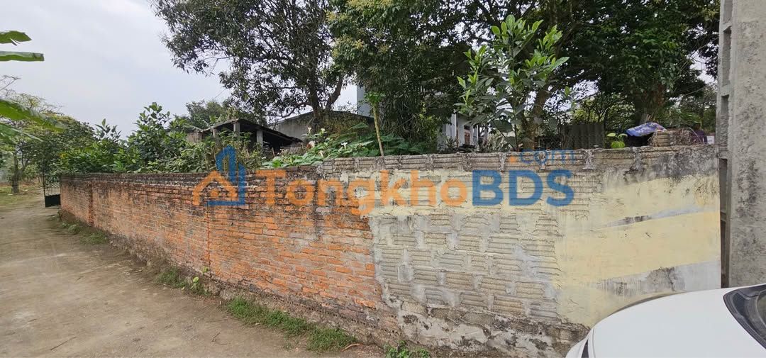 Đất thổ cư 115m² Hướng Đông Nam gần Viện A, Lâm Bình - Sẵn sàng xây nhà