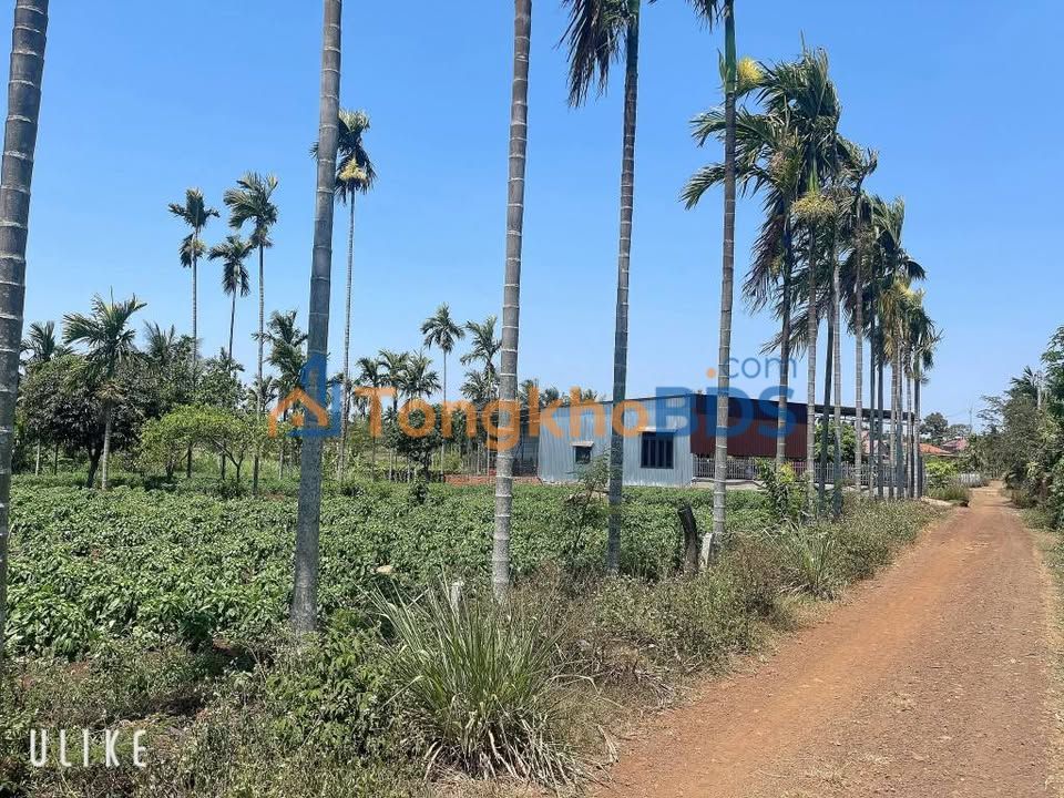 Đất nền Thôn 2 Ea BHốk 550m² 37.4 tỷ - Giá F0 CĐT