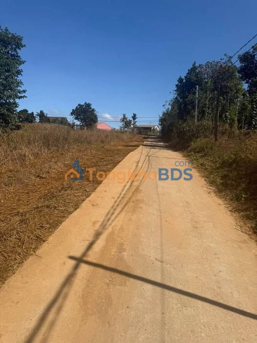 Đất nền T16 Đăk Wer 1.200m² 520 triệu - Đường to ô tô