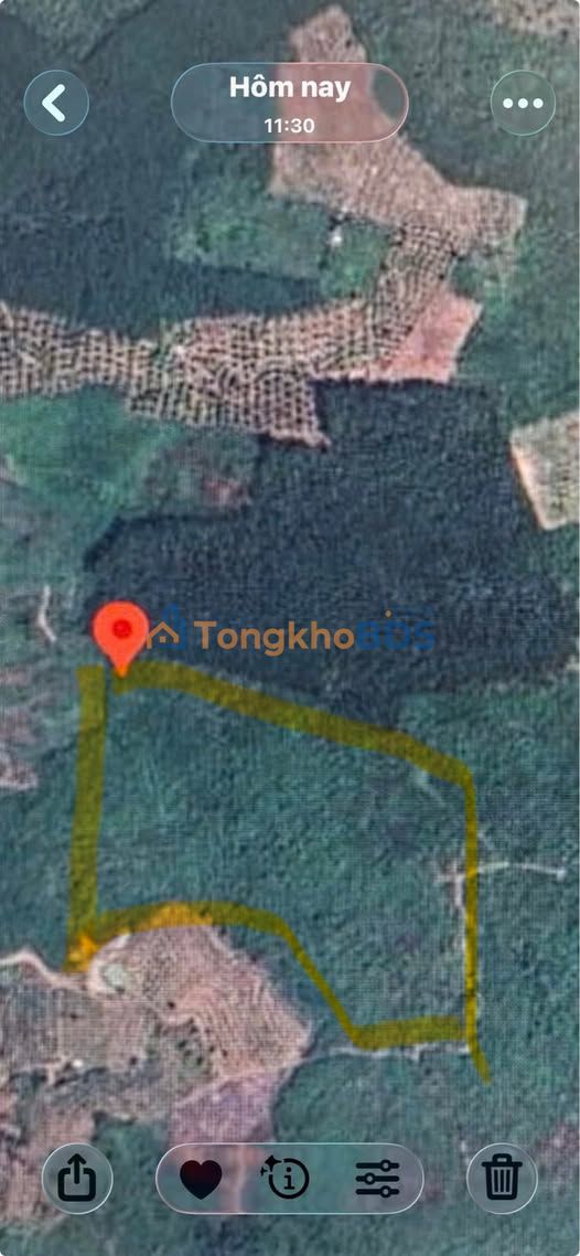 Bán Gấp 10ha Đất Vườn Xã Diên Thọ, Diên Khánh - Giá Đầu Tư 5 Tỷ