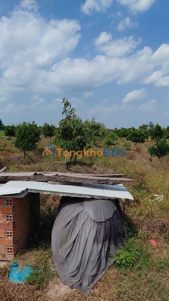 Đất nền Thanh Mỹ Cai Lậy 9.000m² 1.8 tỷ - Giá tốt hiếm có