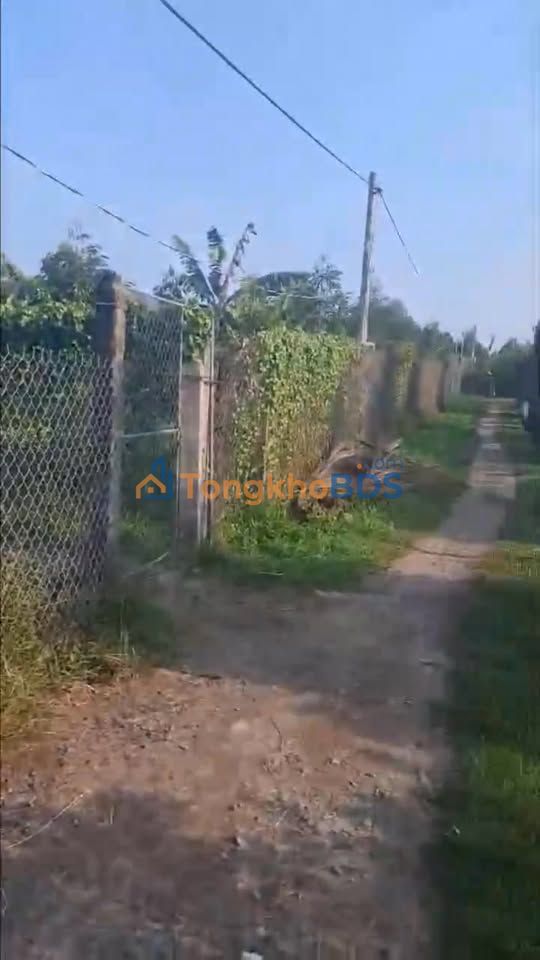 Đất nền Nhị Quý Cai Lậy 330m² 350-420 triệu - Sổ đỏ chính chủ