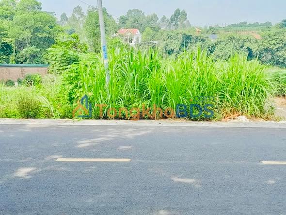 Bán Gấp 2 Lô Liền Kề 100m²/ô, Vị Trí Vàng Việt Trì - Sổ Đỏ Full Thổ Cư