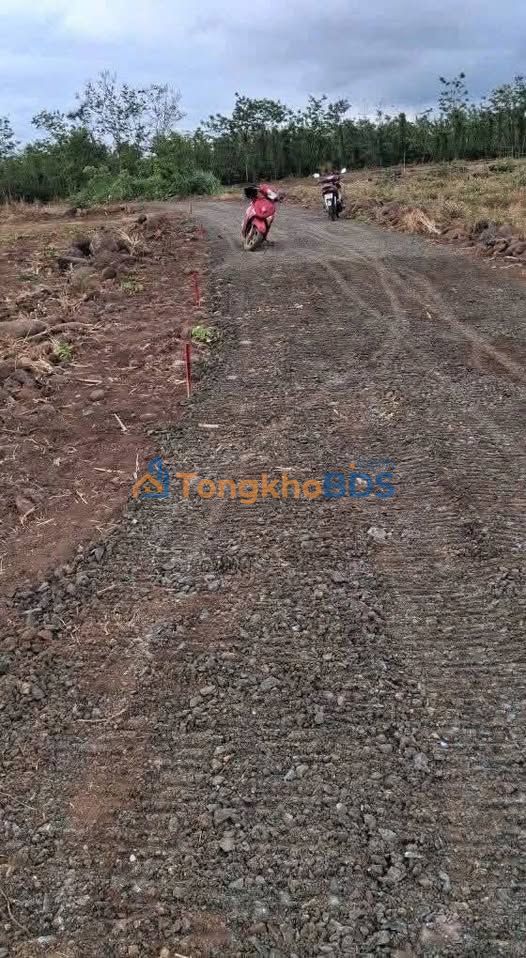 Đất nền An Bình Buôn Hồ 1.000m² 380 triệu - Đường to ô tô