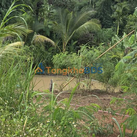 Đất nền Buôn Hồ 695m² giá 1,15 tỷ - Tiềm năng tăng giá