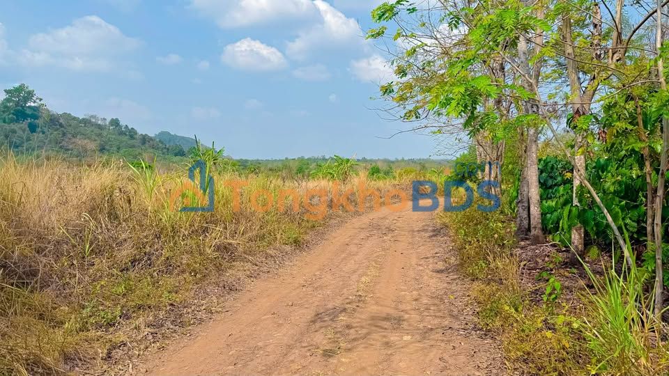 Farm Buôn Ma Thuột 500m² 1 tỷ - Pháp lý rõ ràng