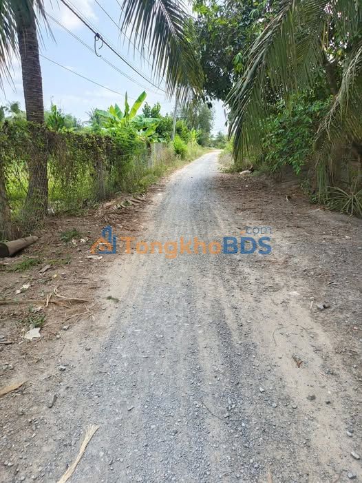 Đất nền Hậu Mỹ Bắc B 990m² 0.9 tỷ - Giá tốt hiếm có