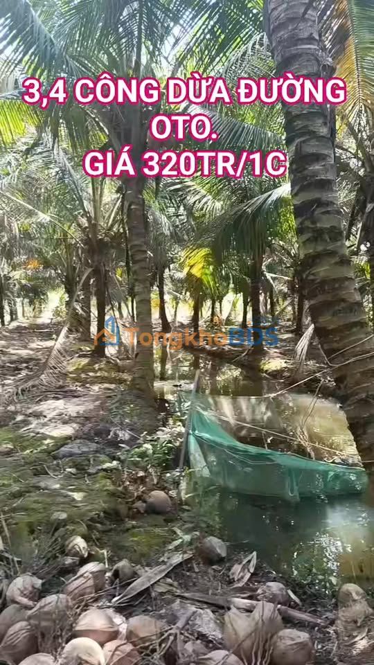 Đất vườn Long Định 3.400m² 1,088 tỷ - An yên tĩnh lặng