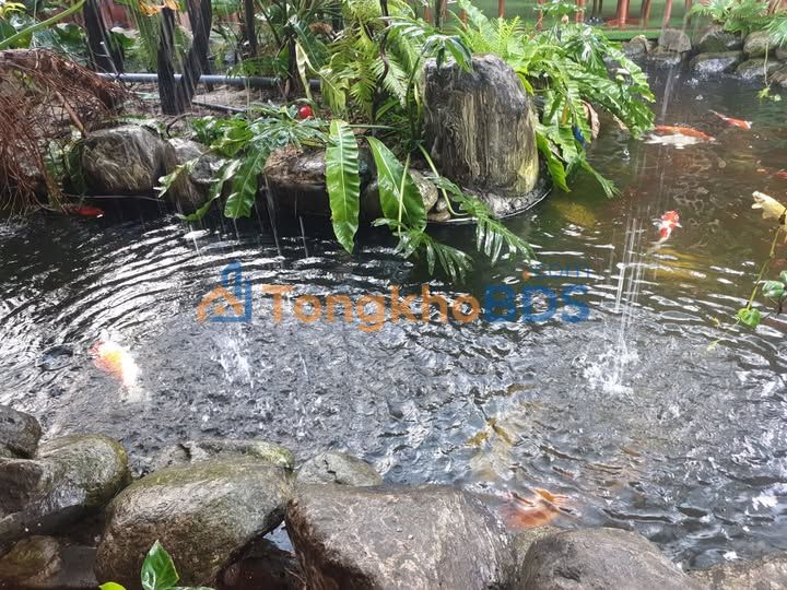 Đất nền QL19C Phước An 224m² 5 tỷ - Đường to ô tô