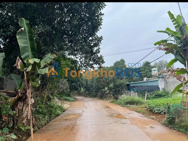 Đất Kim Phú Tuyên Quang 480m² - Đường ô tô tránh