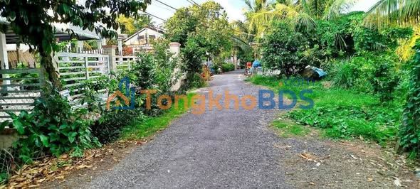 Đất Rạch Trà Luộc 196m² 550 triệu - Tiềm năng tăng giá