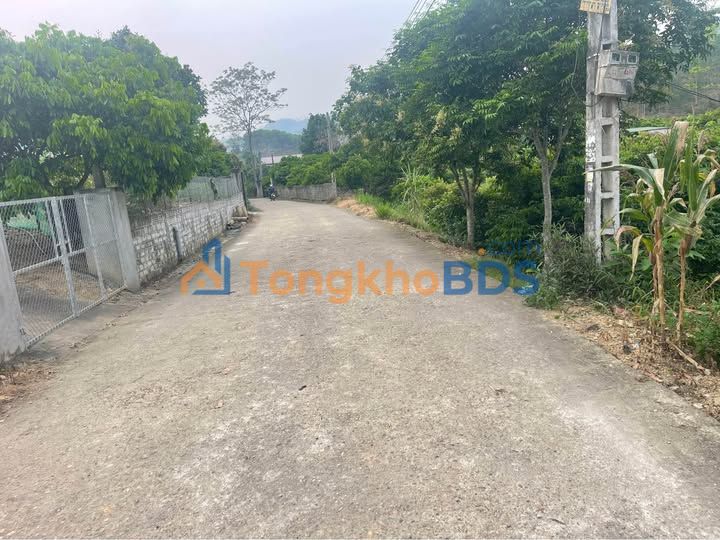 Trang trại Chân Sơn Yên Sơn 3.000m² 2 tỷ - Đường to ô tô