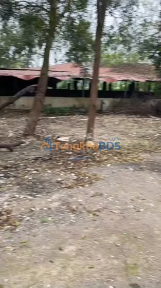 Trang trại Thanh Trù Vĩnh Yên 10.000m² - Đầu tư dài hạn