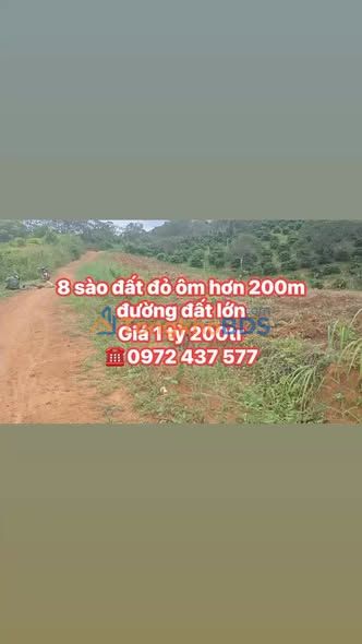 Bán 8 Sào Đất Đỏ Đắk Mil - Vị Trí Đẹp, Giá 1.2 Tỷ