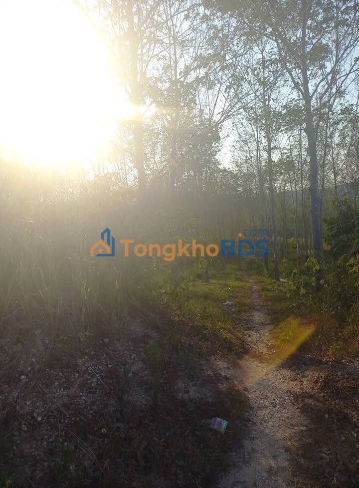 Đất vườn TL 671 Kon Plông 3,5 ha 2 tỷ - Đường to ô tô