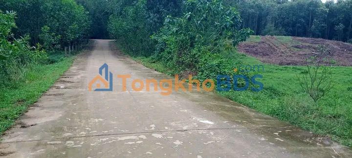 Đất nền Đường Hòa Hương Thủy 400m² 135 triệu - Đường to ô tô