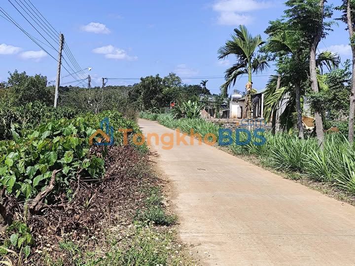 Đất Nền Đắk Nông 100m² - Giá 300 Triệu, Sổ Đỏ Rõ Ràng