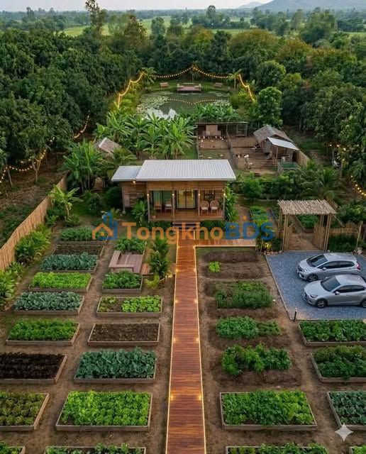 Đất nền Phường 3 Sa Đéc 836m² 1.25 tỷ - Sổ đỏ chính chủ