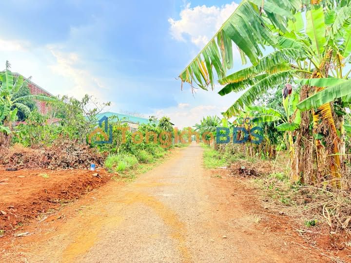 Đất nền Ia Dêr Gia Lai 140m²/3xx triệu - Sổ đỏ chính chủ