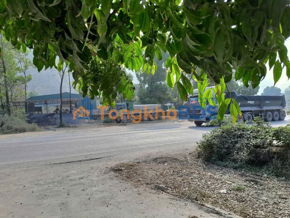 Đất mặt tiền Hồ Chí Minh Tiên Phương 2.000-5.500m² - Sổ đỏ chính chủ