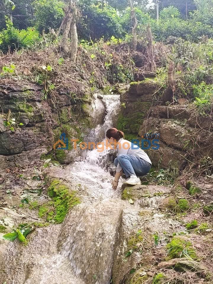 Đất vườn Bình Cảng 3000m² bám suối - Nghỉ dưỡng sẵn sàng