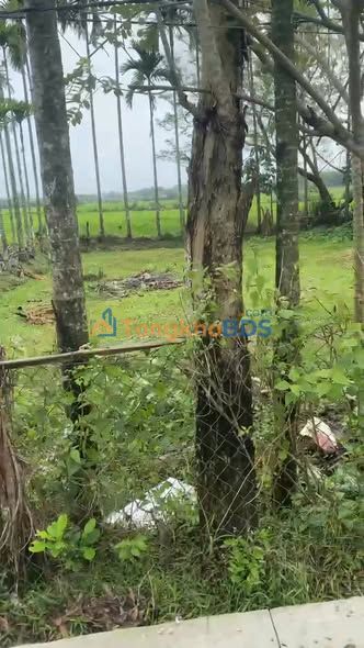 Đất nền Tam Thanh 97m² 500 triệu - Hạ tầng hoàn thiện