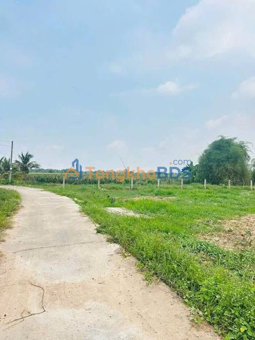 Đất Hàm Liêm 576m² giá thương lượng - Hạ tầng hoàn thiện