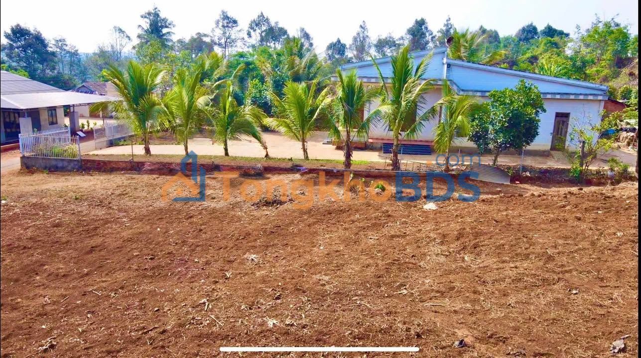 Đất nền Đức Mạnh Đắk Mil 302m² 1,3 tỷ - Sổ đỏ chính chủ