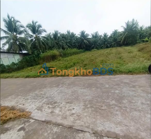 Đất nền Phong Nẫm, Giồng Trôm 940m² - Sổ hồng đất ở, ô tô vào tận nơi