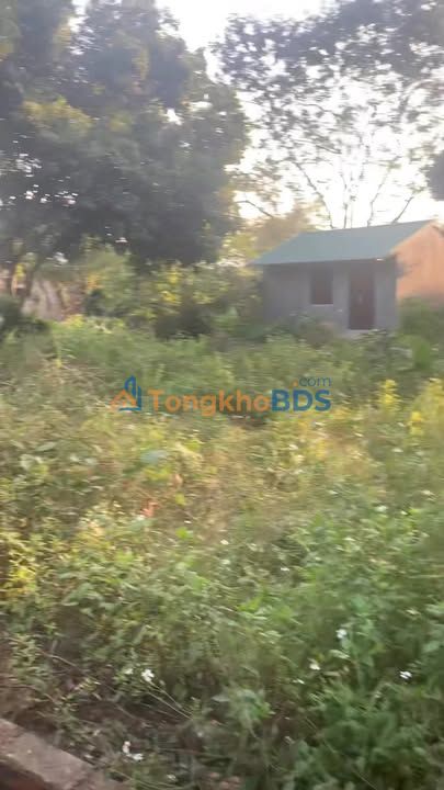 Nhà riêng Lương Sơn 120m² giá thỏa thuận - Chính chủ bán