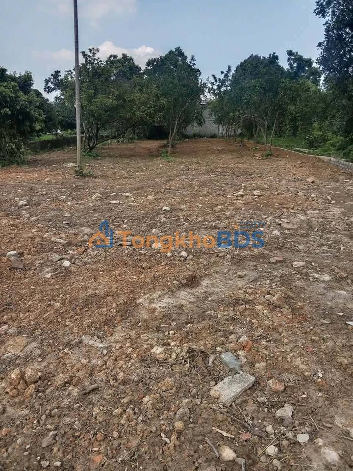 Đất nền Lương Sơn Hòa Bình 1007m² giá 2.4 tỷ - Sổ đỏ chính chủ