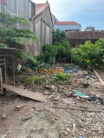 Đất nền Biên Giang Hà Đông 56m² 4 tỷ - Sổ đỏ chính chủ