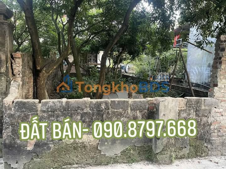 Đất Nhị Khê Thường Tín 81m2 6 tỷ - Giá tốt hiếm có