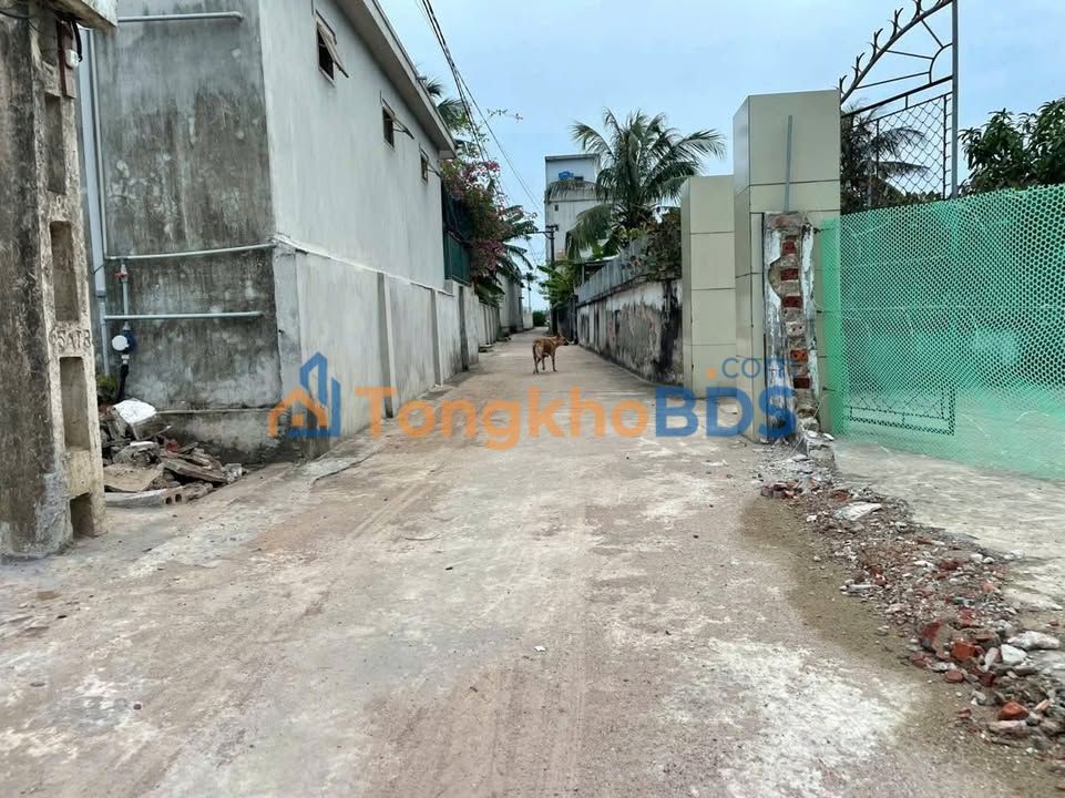 Đất Đông Minh 87m² thổ cư 100% - Giá thỏa thuận