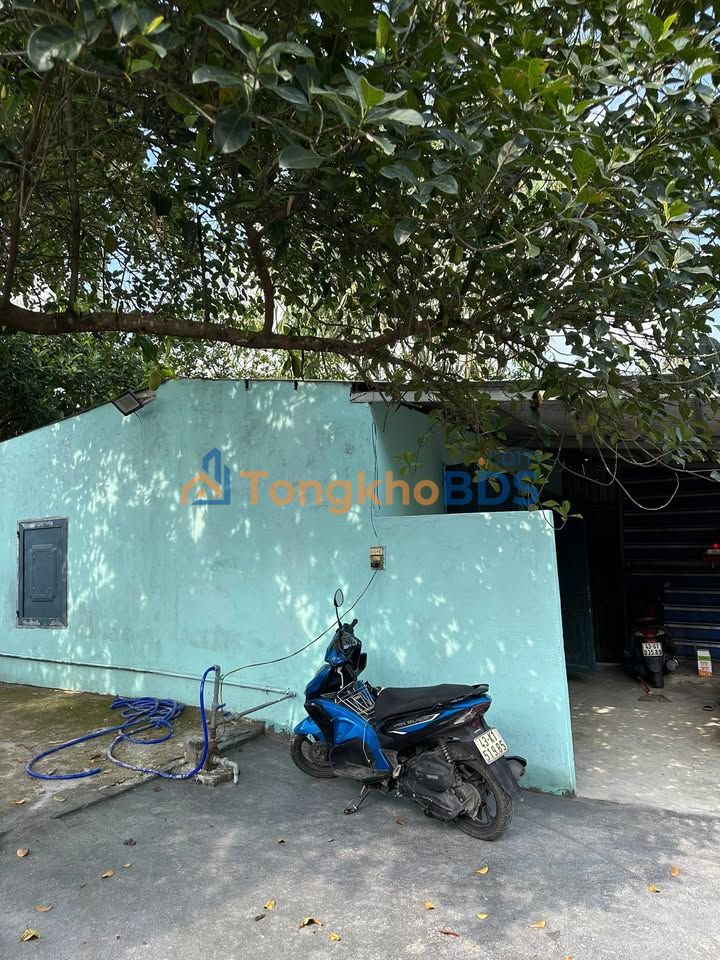 Nhà nguyên căn Tôn Đản Cẩm Lệ 60m² 5 triệu/tháng - Sẵn sàng ở ngay