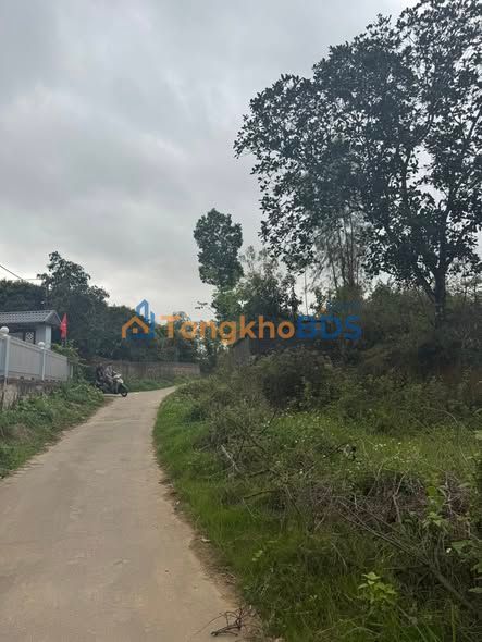 Đất nền Thôn Chính Hạ 147m²/1 tỷ - Đường to ô tô