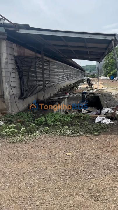 Trang trại gà Gia Tân 3 10.000m2/15 tỷ - Pháp lý rõ ràng