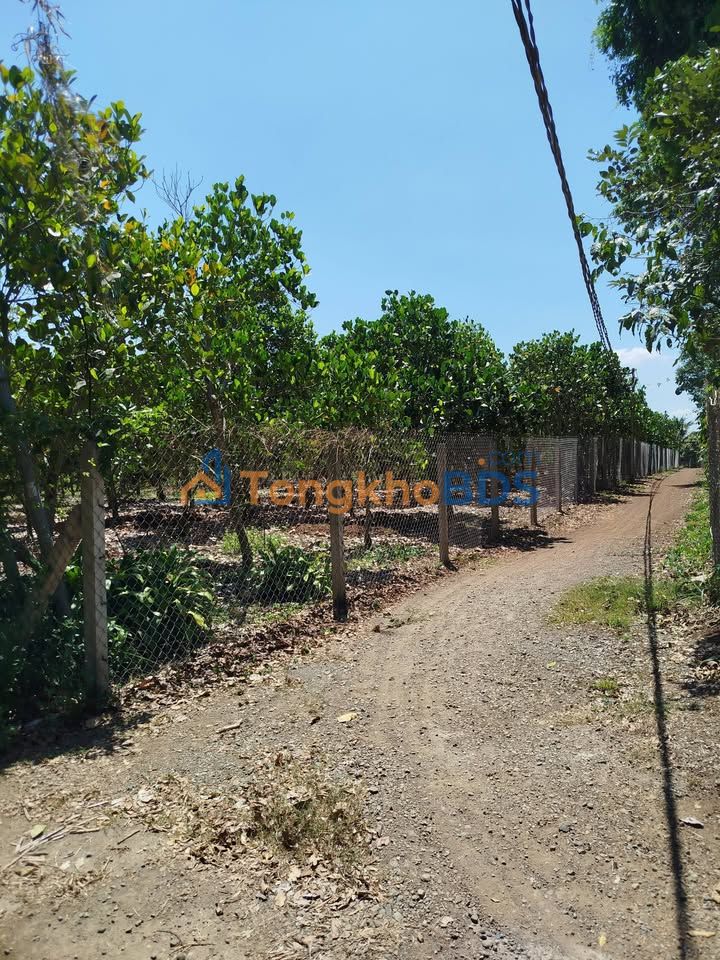 Đất nền Xuân Bảo Cẩm Mỹ 4.000m² 3,12 tỷ - Sổ đỏ chính chủ