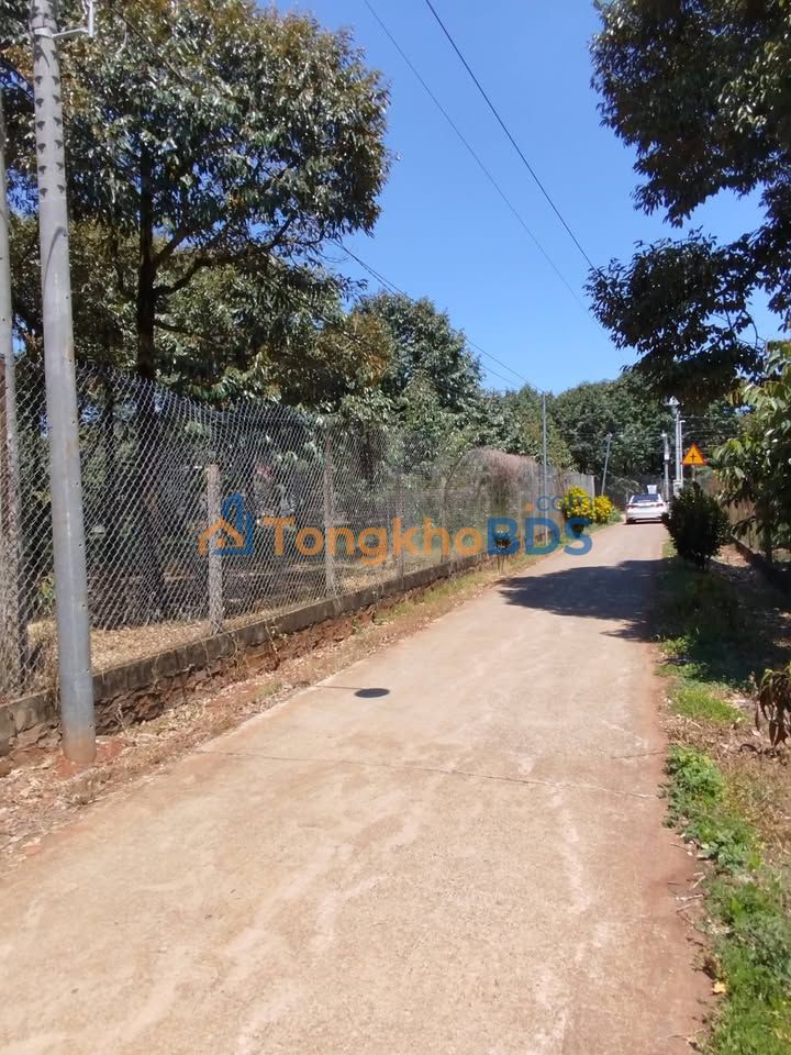 Đất vườn Xuân Bảo 2.000m² giá 2 tỷ - Đầu tư dài hạn