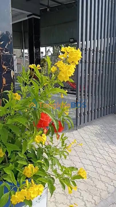 Đất nền Trảng Bàng 165m² giá 520 triệu - Giá tốt hiếm có