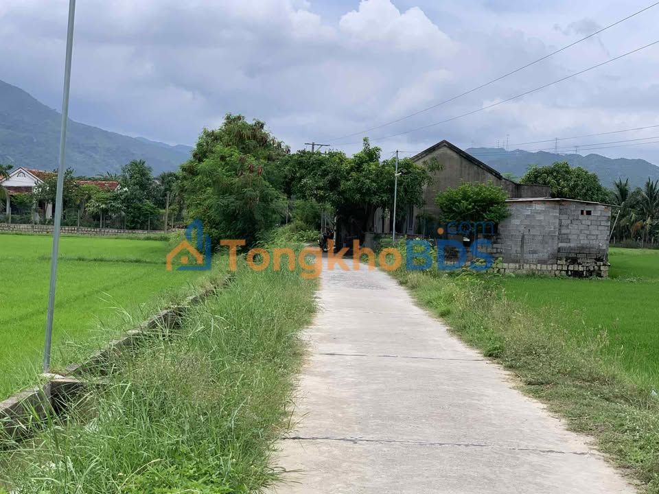 Farm Ninh Ha Ninh Hoa 1.620m² 450tr - Duong oto