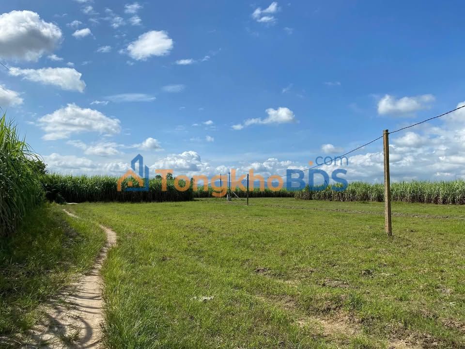 Đất vườn Thôn 1 Ninh Thượng 2.000m² 550tr - Sinh thái xanh