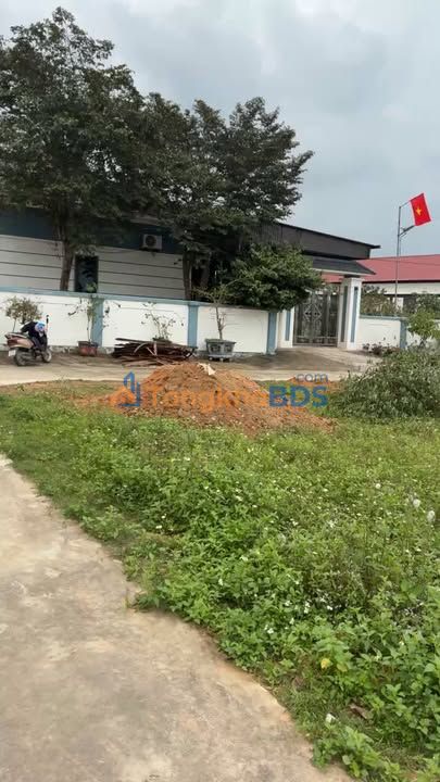 Đất Nền Nghi Lâm 149m² 1 tỷ - Tiềm năng tăng giá