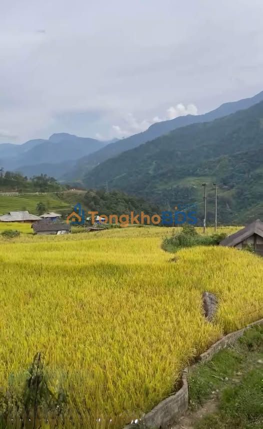 Đất nền Mường Hoa Sa Pa 1.600m² giá 6 tỷ - Xây dựng tự do