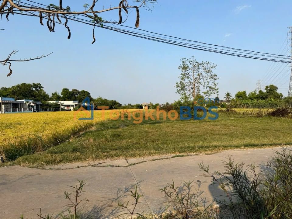 Đất nền Tân Lân Cần Đước 160m² 690 triệu - Sổ đỏ chính chủ