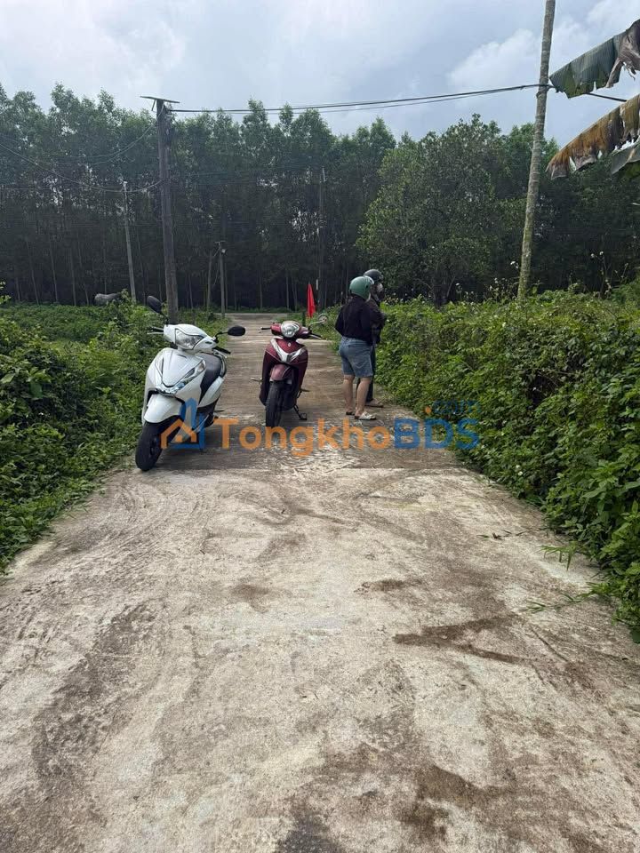 Đất nền Duy Trung Duy Xuyên 125m² 295tr - Sổ hồng chính chủ