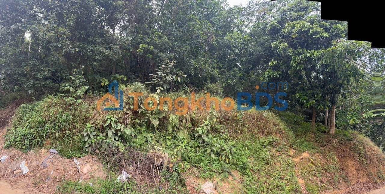 Đất nền Bắc Cường Lào Cai 200m² 1 tỷ - Sổ đỏ chính chủ