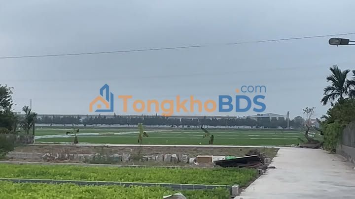 Đất Bạch Long Giao Thủy 96m² 990tr - Thổ cư 100%